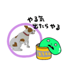 ぶち犬 ハロウィーン（個別スタンプ：8）