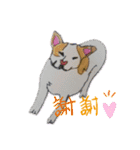 ぶち犬 ハロウィーン（個別スタンプ：13）