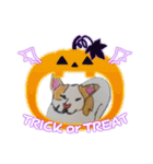 ぶち犬 ハロウィーン（個別スタンプ：16）