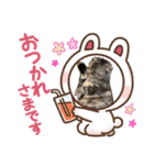 ぶち犬 ハロウィーン（個別スタンプ：22）