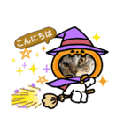ぶち犬 ハロウィーン（個別スタンプ：23）