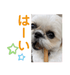 モコモコたん③（個別スタンプ：3）