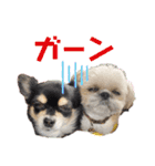 モコモコたん③（個別スタンプ：8）