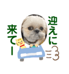 モコモコたん③（個別スタンプ：21）
