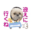モコモコたん③（個別スタンプ：22）