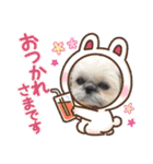 モコモコたん③（個別スタンプ：27）