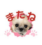 モコモコたん③（個別スタンプ：34）