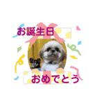 モコモコたん③（個別スタンプ：39）