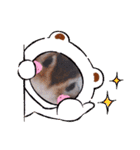 それいけキキさん4（個別スタンプ：4）