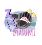 それいけキキさん4（個別スタンプ：5）