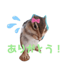 それいけキキさん4（個別スタンプ：13）