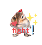 それいけキキさん4（個別スタンプ：14）