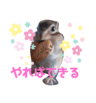 それいけキキさん4（個別スタンプ：15）