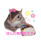 それいけキキさん4（個別スタンプ：21）