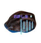 それいけキキさん4（個別スタンプ：22）