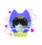 大将どす（個別スタンプ：2）