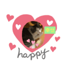 大将どす（個別スタンプ：4）