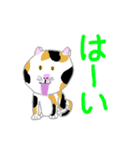 毎回ねこ7 スタンプ（個別スタンプ：24）