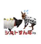 名犬サクちゃん4（個別スタンプ：26）