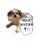 おはよ〜スタンプ（個別スタンプ：8）