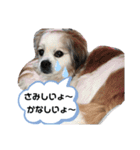 おはよ〜スタンプ（個別スタンプ：9）