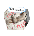 おはよ〜スタンプ（個別スタンプ：10）