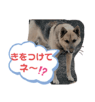 おはよ〜スタンプ（個別スタンプ：13）