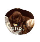 ゆうたとカメックス日常使い（個別スタンプ：5）