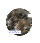 ゆうたとカメックス日常使い（個別スタンプ：15）