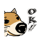 いつでも柴犬と一緒に。（個別スタンプ：3）
