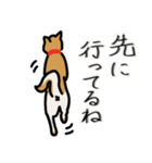 いつでも柴犬と一緒に。（個別スタンプ：5）
