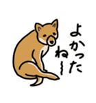 いつでも柴犬と一緒に。（個別スタンプ：6）