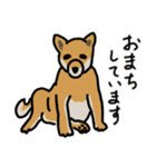 いつでも柴犬と一緒に。（個別スタンプ：7）