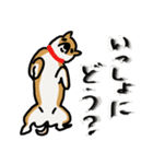いつでも柴犬と一緒に。（個別スタンプ：8）