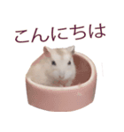 プディングマウスの愛日記♡（個別スタンプ：1）