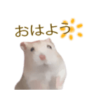 プディングマウスの愛日記♡（個別スタンプ：3）
