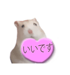 プディングマウスの愛日記♡（個別スタンプ：5）