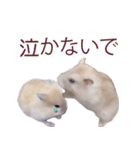 プディングマウスの愛日記♡（個別スタンプ：7）