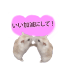 プディングマウスの愛日記♡（個別スタンプ：8）