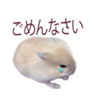 プディングマウスの愛日記♡（個別スタンプ：9）