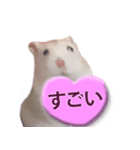 プディングマウスの愛日記♡（個別スタンプ：10）