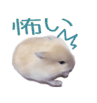 プディングマウスの愛日記♡（個別スタンプ：14）