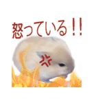 プディングマウスの愛日記♡（個別スタンプ：16）