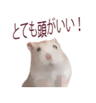 プディングマウスの愛日記♡（個別スタンプ：19）