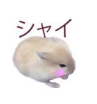 プディングマウスの愛日記♡（個別スタンプ：21）