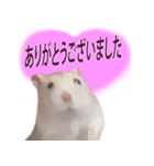 プディングマウスの愛日記♡（個別スタンプ：22）