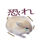 プディングマウスの愛日記♡（個別スタンプ：23）