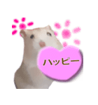 プディングマウスの愛日記♡（個別スタンプ：24）