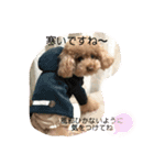 日常使えるモカくぅスタンプ（個別スタンプ：5）