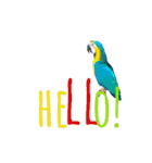 my zoo 001（個別スタンプ：1）